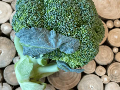 Brassica oleracea var. italica (Brassica oleracea var. italica)