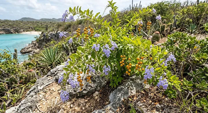 Golden Dewdrop (Duranta erecta)